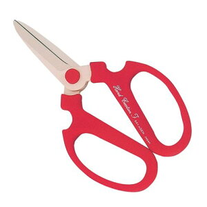 ⌹ nhNG[V|p F-180 1_