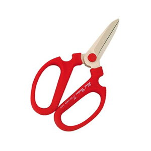 ⌹ nhNG[V|p F-195 1_