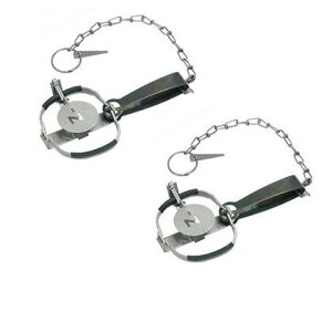 hqY ߊl gbv C type No.101 ΏۓlY~ 170mm×67mm×80mm Vo[ NZ-1 2