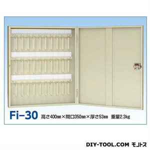 ACE(cG[X) G[XL[{bNX H400×W350×D53mm AC{[ FI-30 1