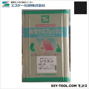 GXP[ ltbVVR(L)ϋvph X[gubN RC-110