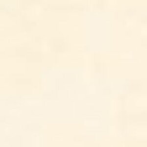  \tgЖ H=100mmL=909mm TH10013 25