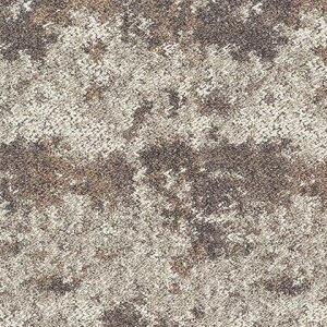 ���� �^�C���J�[�y�b�g ���`�F�A�[�� 50×50cm GX8503 4��