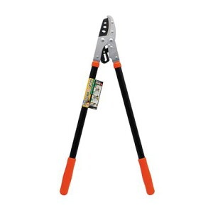 V `Fbg} H800×W310×D20(mm) 1