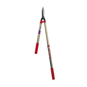 V LkA~ MS-20y2506DFD_5z