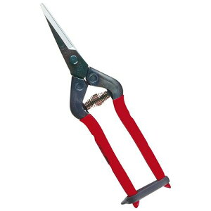 �ߐ� ��؁E�E���� T-55CH 1