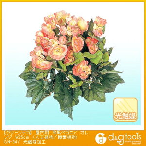 ^JV[ O[fRpaxSjA(lHA/ϗtA)G}H IW W25cm GN-34Y