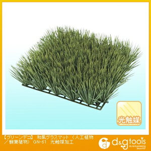 ^JV[ O[fRaOX}bg(lHA/ϗtA)G}H GN-61