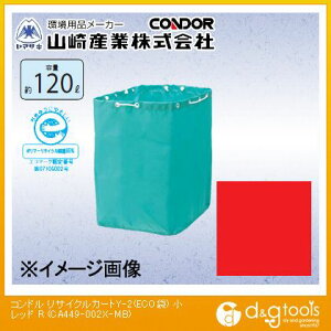 RYƁiRhj RhTCNJ[gY-2(ECO)  bh CA449-002X-MB-Ry2506DFD_5z