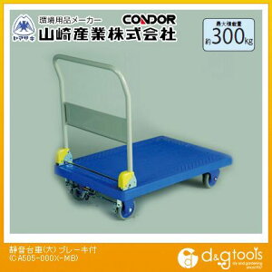 RY Éԑ(u[Lt)  CA505-000X-MBy2506DFD_5z