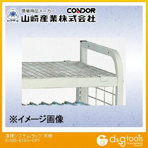 RY |VXebNpV C300-010X-OP 1y2506DFD_5z