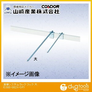 RY |VXebNptbN()  C300-062X-OP 1y2506DFD_5z