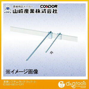 RY |VXebNptbN()  C300-061X-OP 1y2506DFD_5z