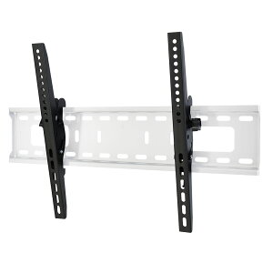 erǊ| erǊ| Ǌ|er erǊ| erǊ| ω׏d75kg 37-75C`Ή TVZb^[`gFT100 M/LTCY