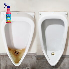 尿石パンチ 【 尿石 トイレ 便器 除菌 消臭 業務用レベル 掃除 メンテナンス 洗浄剤 ビル 小便器 尿石除去剤 尿石おとし 尿石落とし 大掃除 】