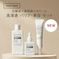 【ポイント5倍★クーポン最大1000円OFF 6/11(木)迄】期間限定 3点 化粧水 美容液 クリーム スキンケアセ…
