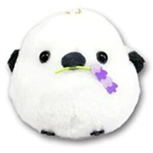 ӂӂV}GiKLMC V}񃉃x_[