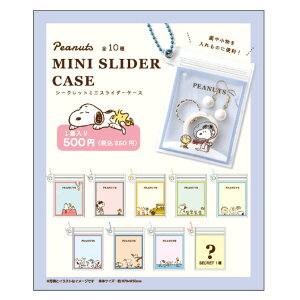 ybg̔z y10z Xk[s[V[Nbg~jXC_[P[X Pi(TD)