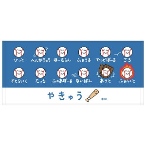ybg̔z y5z !tFCX^I ₫イ