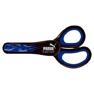 PUMA͂(P[Xt)