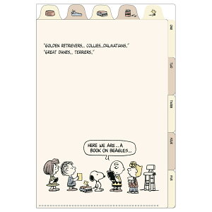 Xk[s[n[hJo[c5CfbNXt@C tY