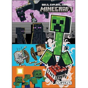 ybg̔z y10z MINECRAFTRW