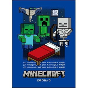 ybg̔z y10z MINECRAFTRu[