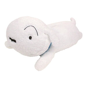 N񂿂_CJbgeBbVJo[V{{