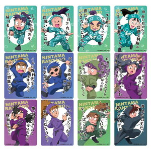 ybg̔z y12z EܗYNAJ[hRNV̒i(TD)