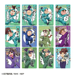 ybg̔z y12z EܗYNAJ[hRNV̒i(TD)