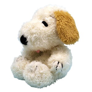 Xk[s[ FUWAN~TAʂ AfB