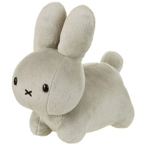 �u���[�i�t�@�~���[�ʂ������SS �������iGray�j