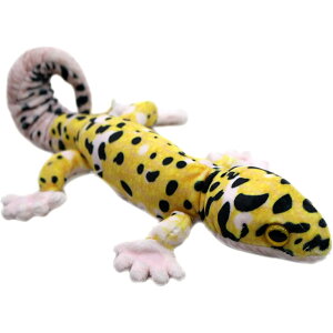 Aj}jA ʂ݃}Olbg qEgJQhL