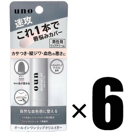 6個セット UNO ウーノ オールインワンリップクリエイター リップクリーム 2.2グラム