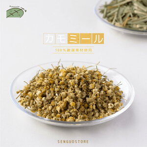 y|Cg10{zJ~[ 50g/obO ܓ  hC e p  A n[ueB[ LO hN ݕ NA`AyXszypzyz