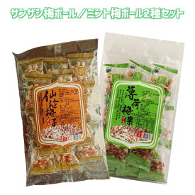 梅ボール サンザシ ミント 2種セット 梅 お菓子 干し梅 種無し おやつ おつまみ 梅菓子 熱中症対策 漢方 駄菓子 お土産 グルメ 詰め合わせセット【台湾直送】【送料無料】【&#24420;旺】 04mother_sw