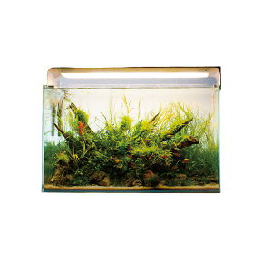 X[p[DEAL 20%|CgobN Cg X}[gim FlatOne+ u^^Cvi2tB[gjFxIׂ 2 LED F  o tXyNg vg ^C}[  v