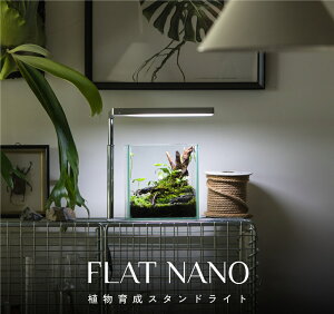 y݌ɌzA琬X^hCg Fx5100K@Vo[ LED FlatNano Nbv^ Cg F  o  tXyNg vg  vO |pCg ϗtAy