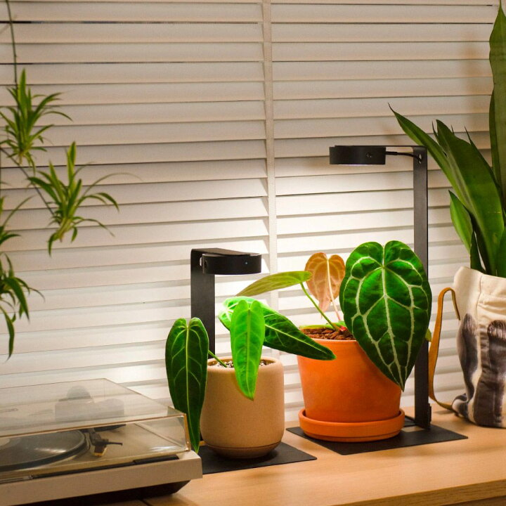 楽天市場】【20％オフ】植物育成ライト マグネット式 セット(ライトx1 