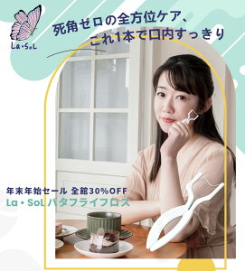 �o�^�t���C�t���X 10�{���� Y Y���^�C�v Y���^ �f���^���t���X �t���X �g�їp �g���̂� �� ���ԃu���V �u���X�P�A �I�[�����P�A�yLDC�z�y��p�����z�y���������z