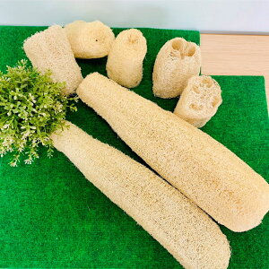 VRw`}킵 NjbNc[ H HpX|W  35Z`ȉ(2)A36-40Z`(2)A41-50Z`(2)Adグ13-15Z`(10)ypzyz