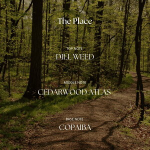 荁 XeBbN^Cv Ō`荁 14g VRA} 蒷 1 2Zbg LASAIypz