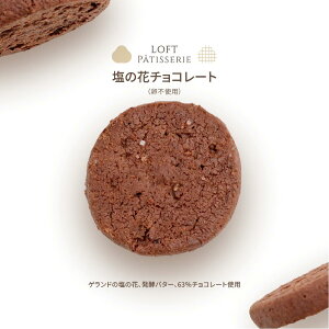 t[EhEZ `R[gNbL[ ̉ gp 21 NbL[ XC[c Mtg  `R[g َq FLEUR DE SEL ypzyz