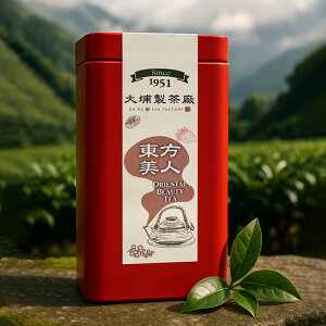 l 1953VH EݍR t[eB[G ԊʃMtg p N  yY bNXySƁz ypzyz