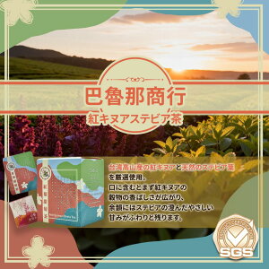 g[XerA p N J[ mVK[ e bNX yY yLiMA Iz ybDߏszypzyz