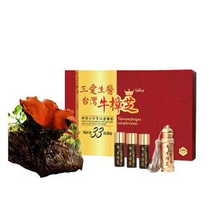 Ŏq̃GLX ㉺ 360  xjNXmL^P q Zx GLX Tv Tvg VR  h{ YyOzypzyz