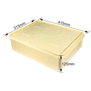 フードコンテナ 2色から選べる 10.5L 蓋付き 大容量 保存容器 発酵容器 フードテナー プラスチックケース ピザ 生地 パン 業務用 家庭用【AHA一法】【台湾直送】【送料無料】