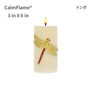 LEDLh G{XfUC A ^C}[ dr X 낤  CeA ObY S LhCg Lh LED ԐڏƖ Cg h nEB NX