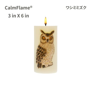 LEDLh G{XfUC A ^C}[ dr X 낤  CeA ObY S LhCg Lh LED ԐڏƖ Cg h nEB NX