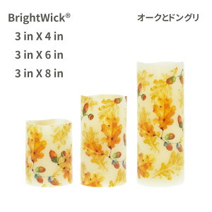 LEDLh p^[fUC A ^C}[ dr X 낤  CeA ObY S LhCg Lh LED ԐڏƖ Cg h nEB NX}X